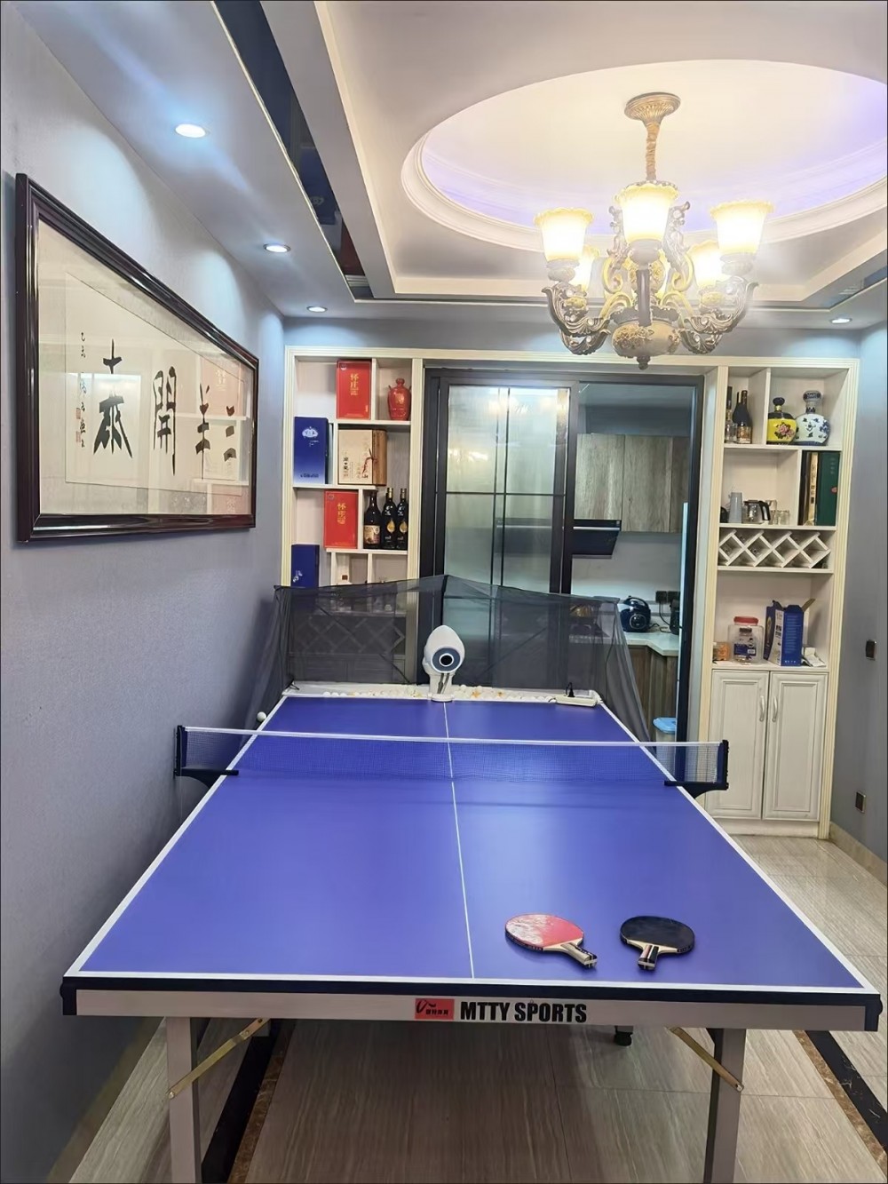 YABO鸭脖乒乓球台源头生产工厂